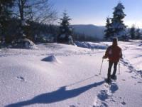 Location de particuliers � particuliers CHALET jusqu'a 7 personnes � 3 kms des pistes de SKI Chalet Vosges photo 6