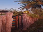 Location de particuliers � particuliers Manihi miki lodge  Chambres d'hotes Polyn�sie Fran�aise photo 9