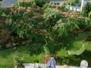 Location de particuliers � particuliers Oasis de qui�tude guerande Chambres d'hotes Loire Atlantique photo 7