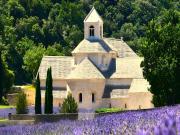 Location de particuliers � particuliers En Provence g�te la Muscadelle G�te Vaucluse photo 8
