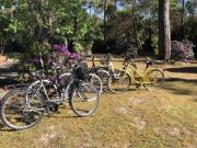 Location de particuliers � particuliers Villa Alpatsyka, proche plage Location saisonni�re Landes photo 8