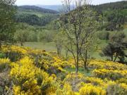 Location de particuliers � particuliers Le POTIRON BALADE Balade foret, Lacs  G�te Ard�che photo 6