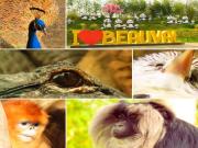 Location de particuliers � particuliers Mon chti studio vert - Montrichard Val de Cher Location saisonni�re Loir et Cher photo 8