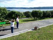 Location de particuliers � particuliers Grande maison familiale,Superbe vue mer,Calme,Confort,SPA  G�te Finist�re photo 7