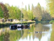 Location de particuliers � particuliers L'or�e du bois Campagne For�t Piscine Canal d'Orl�ans  Chambres d'hotes Loiret photo 10