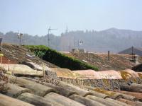 Location de particuliers � particuliers LE PATIO DES CIGALES Chambres d'hotes Aude photo 9