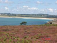 Location de particuliers � particuliers Bienvenue au Penty de Landromiou � Crozon-Morgat Location saisonni�re Finist�re photo 10