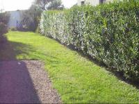 Location de particuliers � particuliers Chalet � 50m de la mer � Asnelles Chalet Calvados photo 2