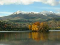 Location de particuliers � particuliers Les Chenets du Lac Chambon Location saisonni�re Puy de D�me photo 6