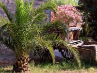 Location de particuliers � particuliers G�tes de charme - Ch�teau de la Pascalette G�te Var photo 2