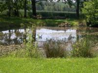 Location de particuliers � particuliers STUART LODGE La Licorderie Chambres d'hotes Cher photo 3