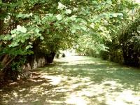 Location de particuliers � particuliers L'Or�e de Giverny Chambres d'hotes Yvelines photo 6