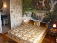 Location de particuliers � particuliers  G�te for�t de Broc�liande,vue sur le Lac G�te Ille et Vilaine photo 3