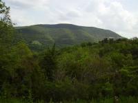 Location de particuliers � particuliers Bio-dule, gite �cologique & rural, H�rault G�te H�rault photo 5