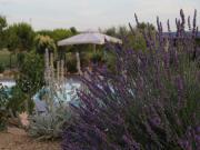 Location de particuliers � particuliers G�tes des Condamines G�te H�rault photo 14