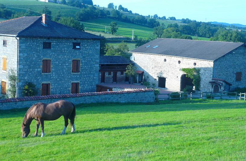 Location de particuliers � particuliers Domaine du vierre, cadre champ�tre avec piscine Chambres d'hotes Loire