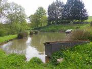 Location de particuliers � particuliers Domaine du vierre, cadre champ�tre avec piscine Chambres d'hotes Loire photo 8
