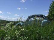 Location de particuliers � particuliers Mini-camping Les Fayes, vue exceptionnelle Camping / Mobile-home Puy de D�me photo 9