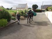 Location de particuliers � particuliers Le Logis des Grenouilles Chambres d'hotes C�tes d'Armor photo 10