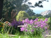 Location de particuliers � particuliers les Sentes Marines, site remarquable de la baie de Morlaix G�te Finist�re photo 2