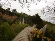 Location de particuliers � particuliers GITE EQUESTRE � Aups au porte du Verdon G�te Var photo 15