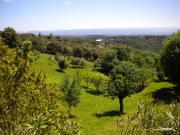 Location de particuliers � particuliers Chambre familiale avec piscine et spa Chambres d'hotes Aude photo 12