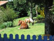 Location de particuliers � particuliers Chambre familiale avec piscine et spa Chambres d'hotes Aude photo 14